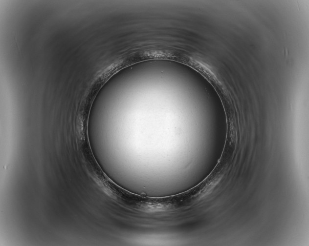 X0000086720453200704271614