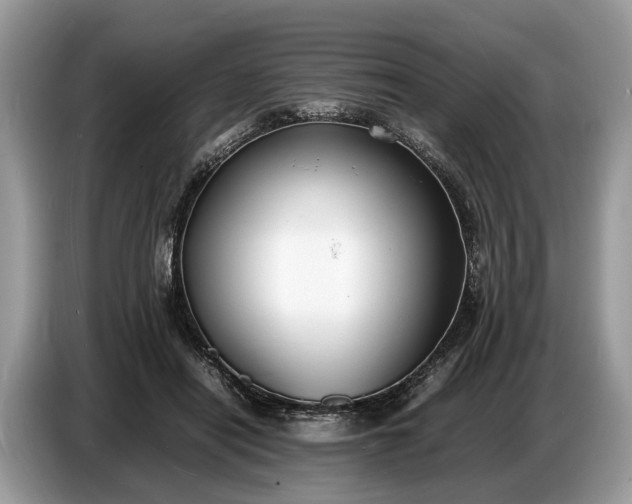 X0000086720454200704271614