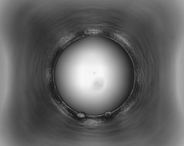 X0000086720455200704271614