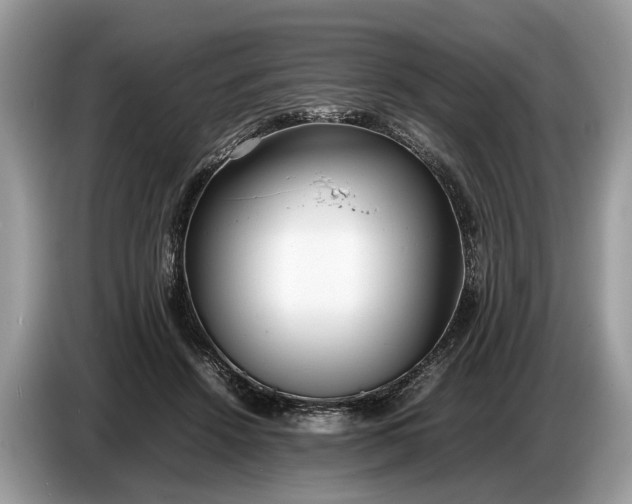 X0000086720456200704271614