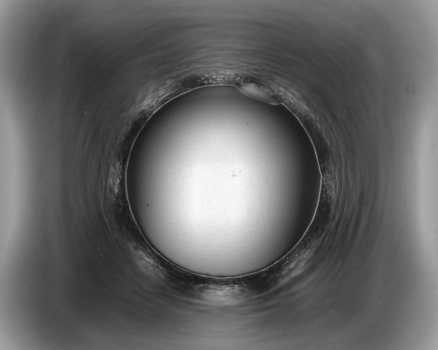 X0000086720458200704271614