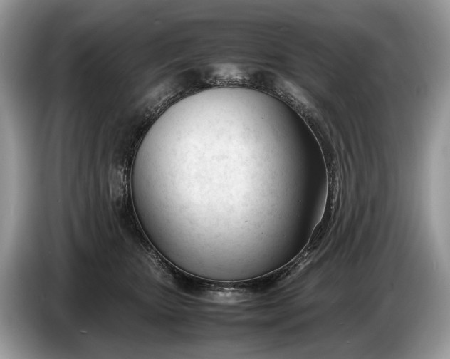 X0000086720467200704271614