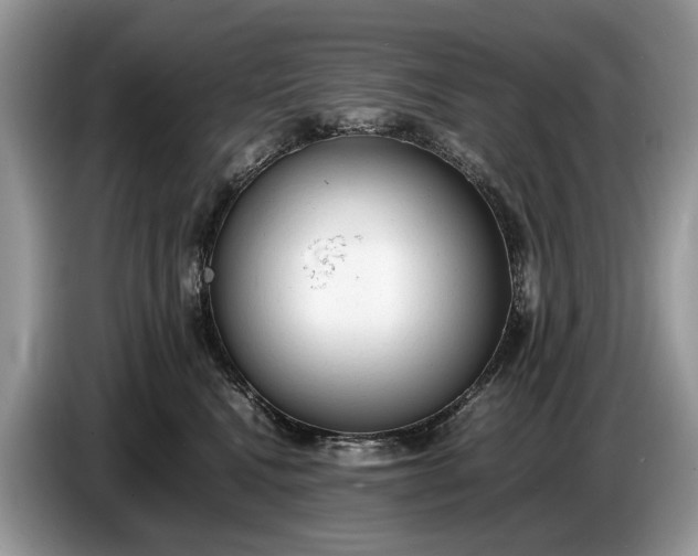 X0000086720472200704271614