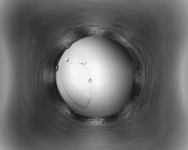 X0000086720474200704271614