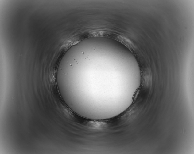 X0000086720477200704271614