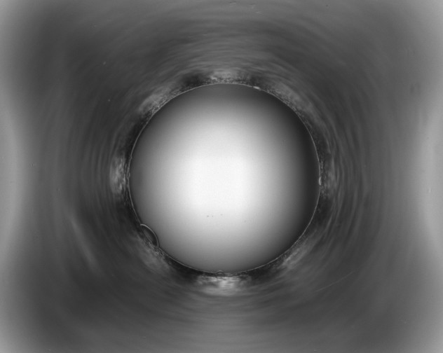 X0000086720478200704271614