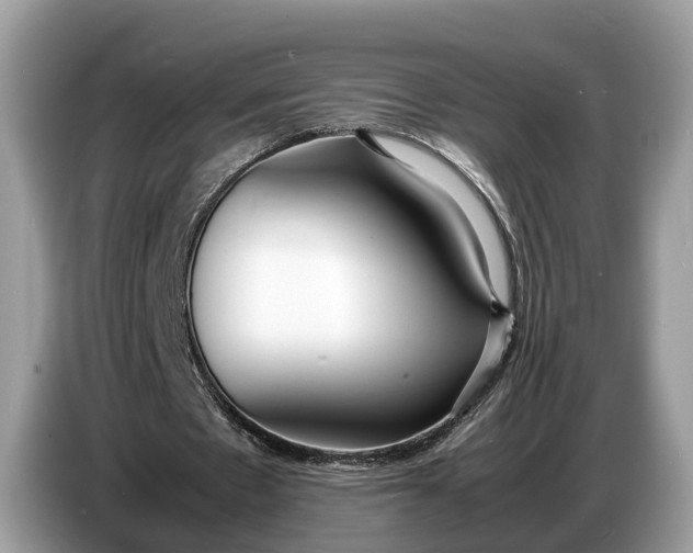 X0000086720481200704271614