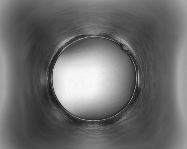 X0000086720483200704271613