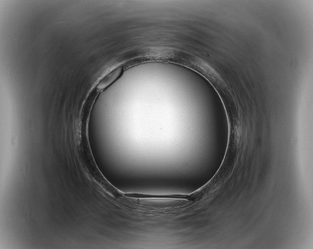 X0000086720484200704271613