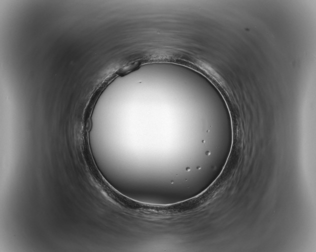 X0000086720485200704271613