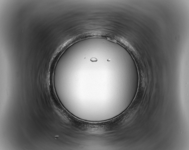 X0000086720486200704271613