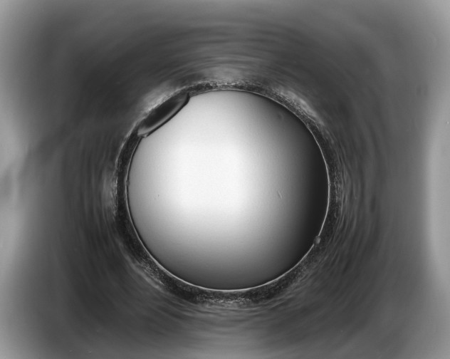 X0000086720488200704271613