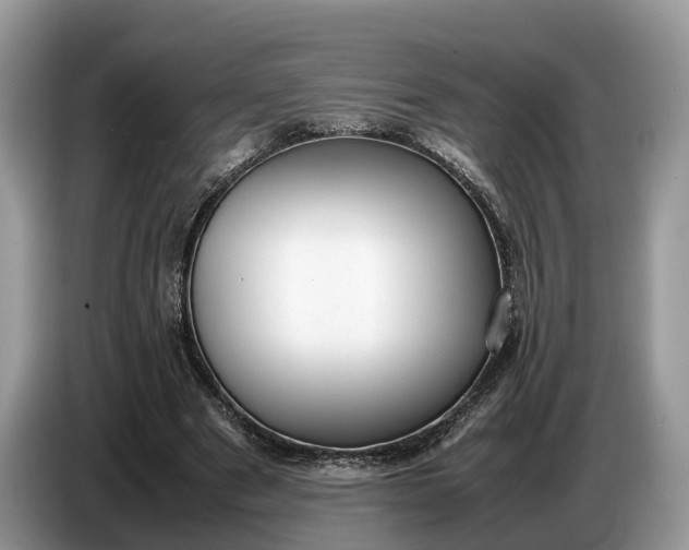 X0000086720489200704271613