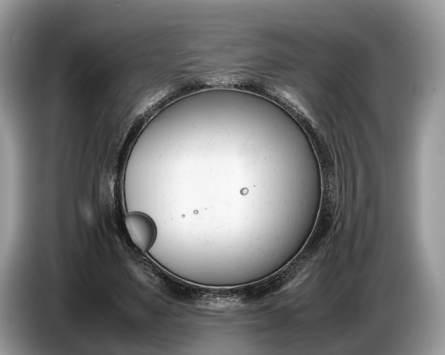 X0000086720491200704271613