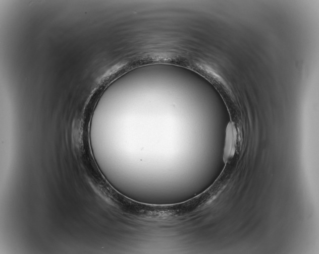 X0000086720492200704271613