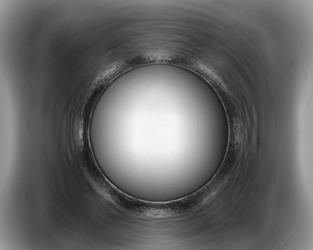 X0000086720494200704271613