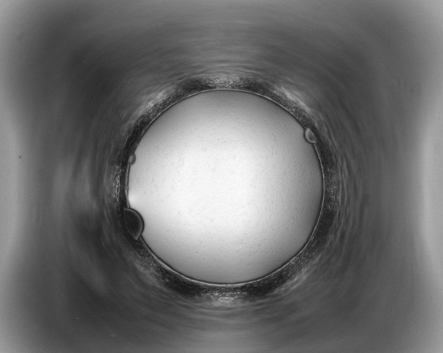 X0000086720495200704271613