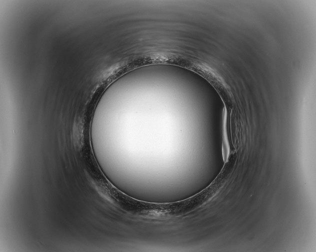 X0000086720496200704271613
