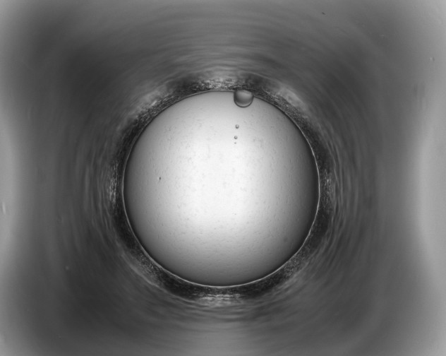 X0000086720499200704271613