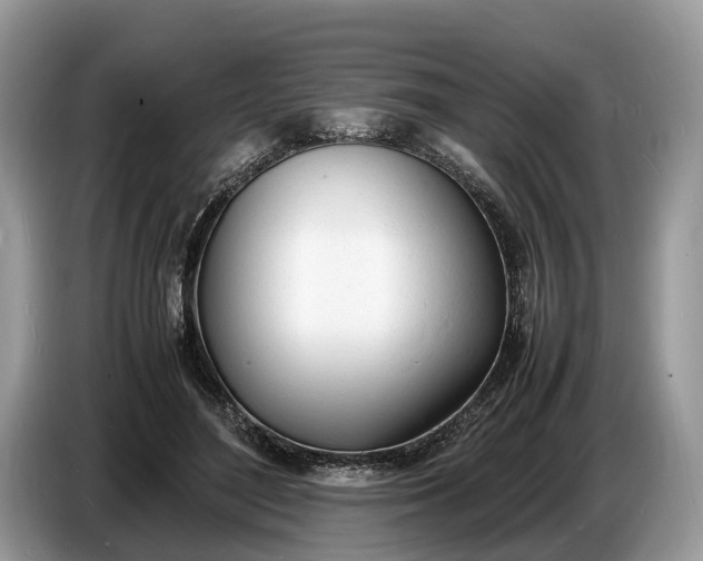 X0000086720500200704271613