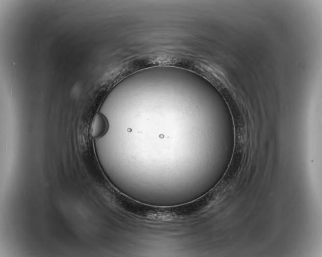 X0000086720503200704271613