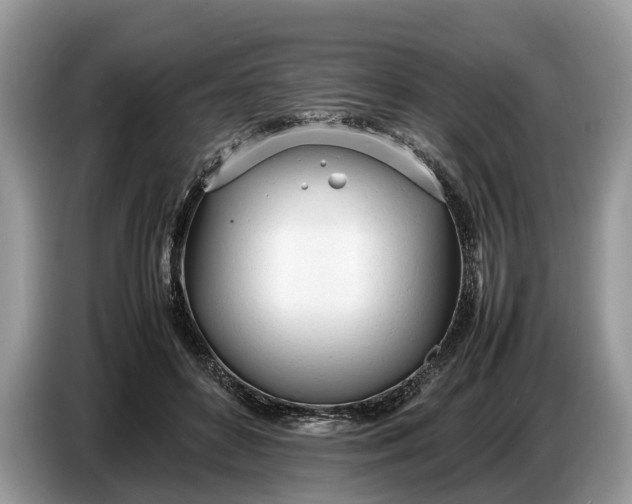 X0000086720504200704271613