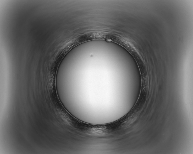 X0000086720505200704271613