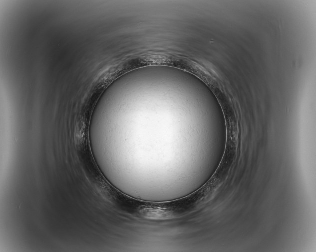X0000086720507200704271613
