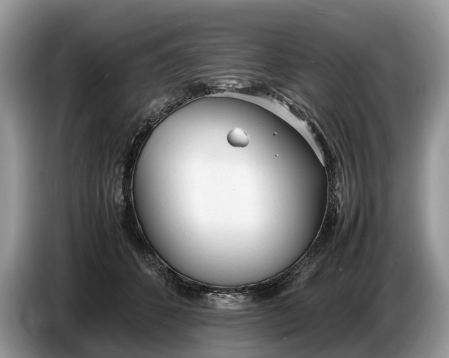 X0000086720512200704271613