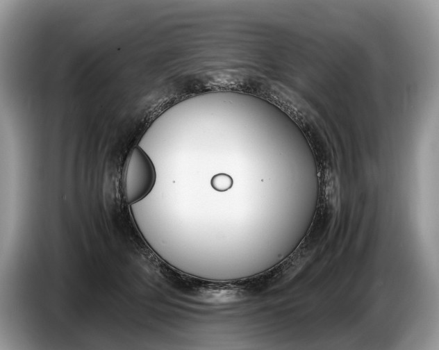 X0000086720514200704271613