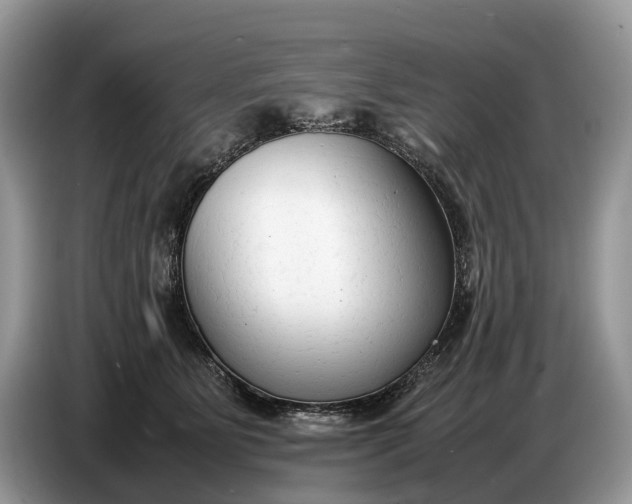 X0000086720515200704271613