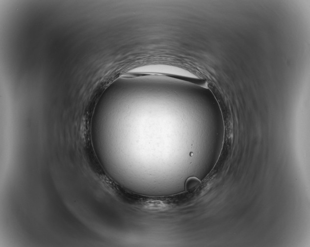 X0000086720519200704271613