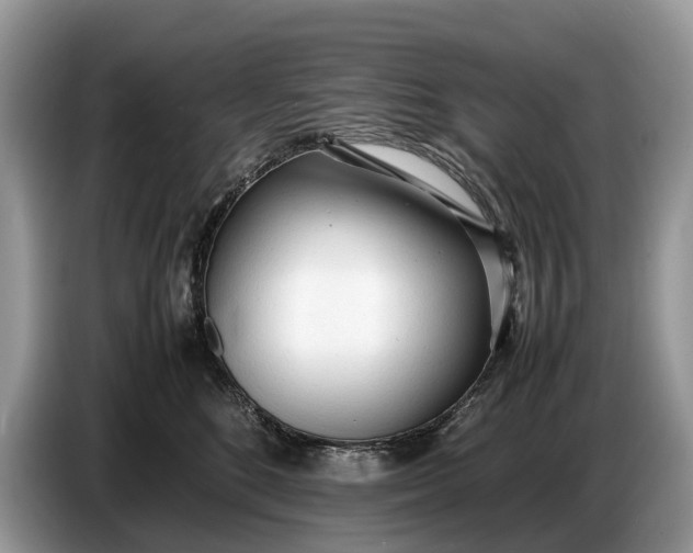 X0000086720520200704271613
