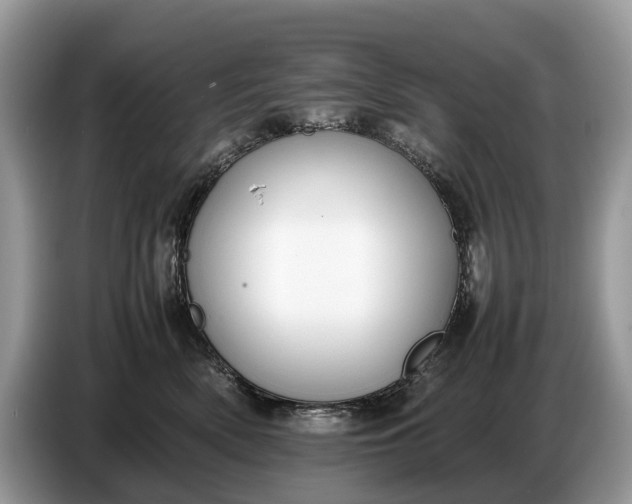 X0000086720522200704271613