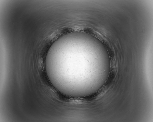 X0000086720523200704271613