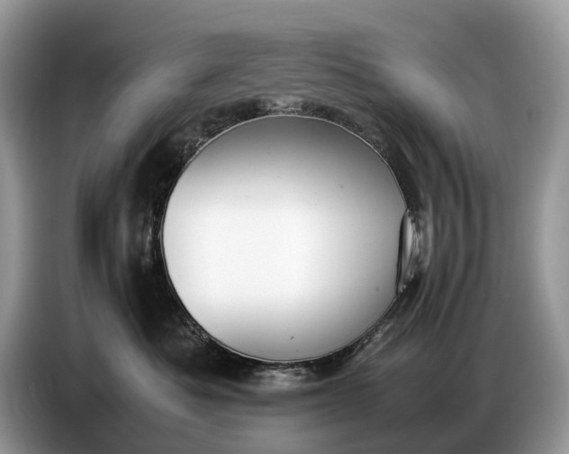 X0000086720525200704271613