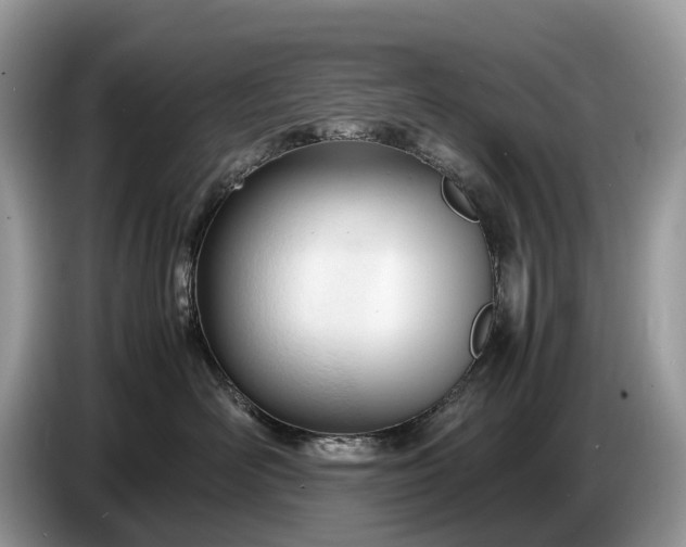 X0000086720526200704271613