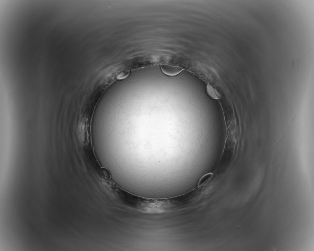 X0000086720527200704271613