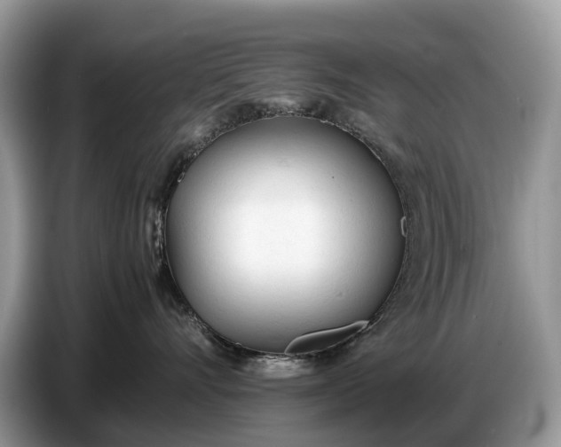 X0000086720528200704271613
