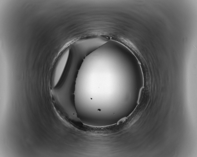 X0000086720530200704271612