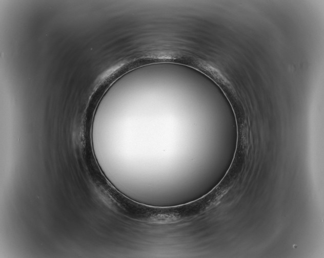 X0000086720536200704271612