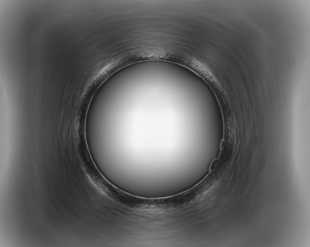 X0000086720538200704271612