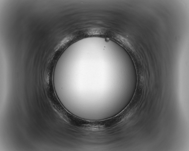 X0000086720539200704271612