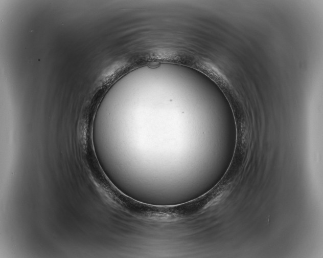 X0000086720542200704271612