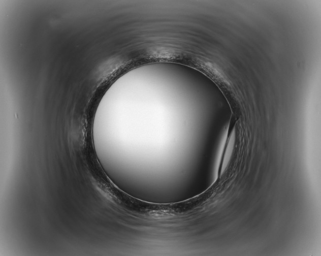X0000086720544200704271612