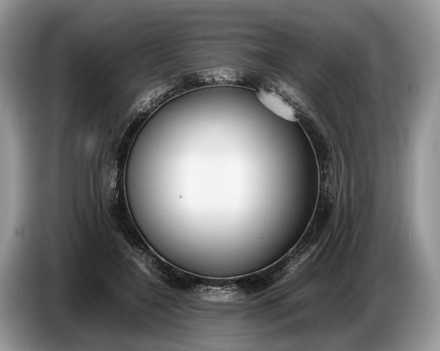 X0000086720548200704271613