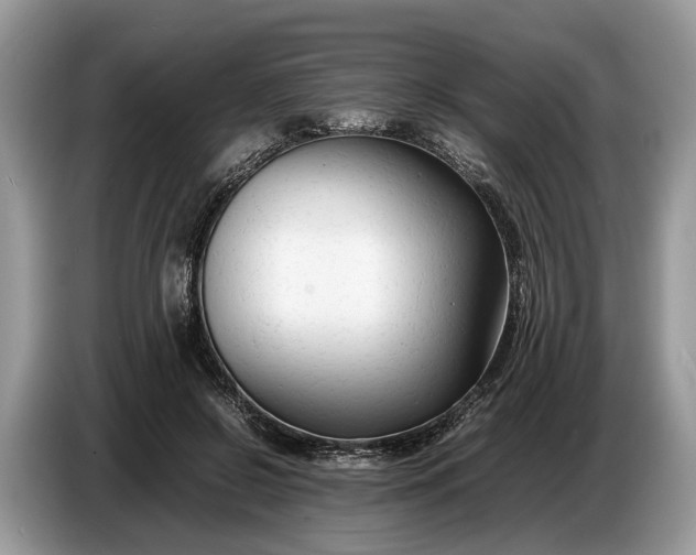 X0000086720550200704271613