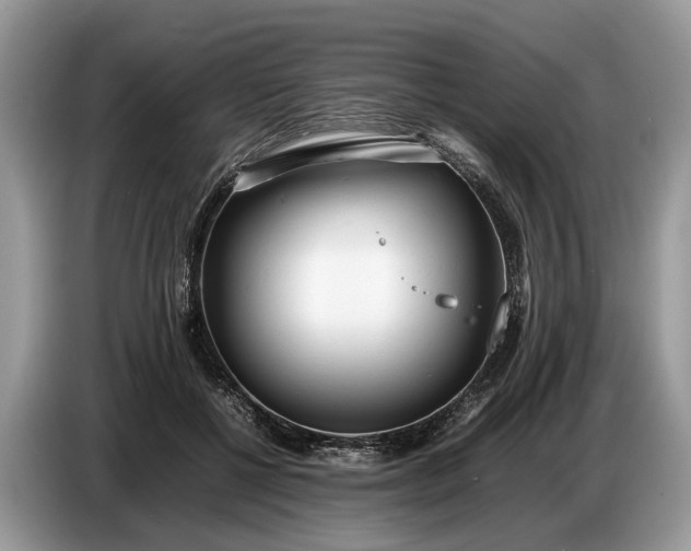 X0000086720552200704271613