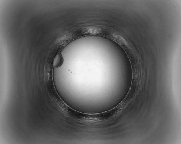 X0000086720553200704271613