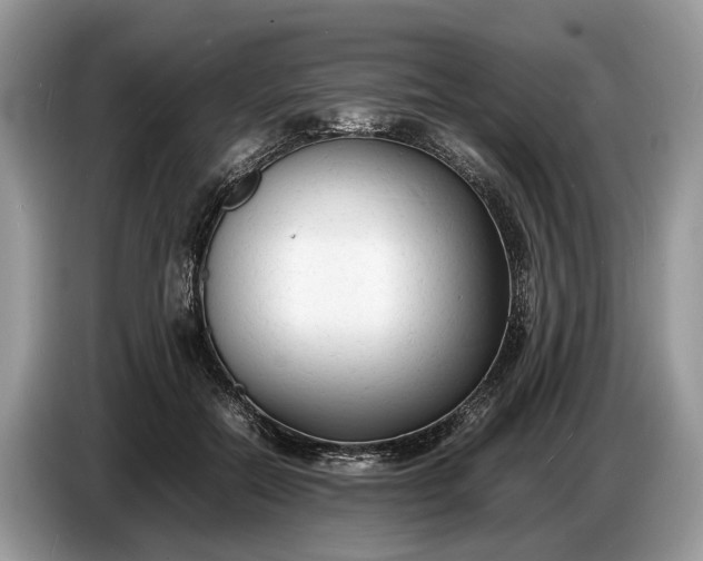 X0000086720554200704271613